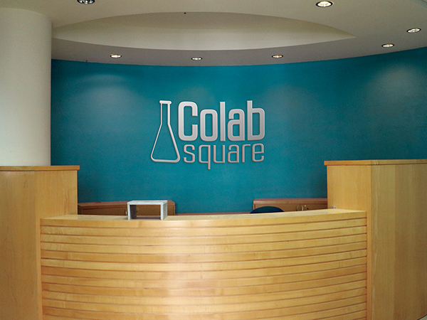 עיצוב הדמיה. Colab square