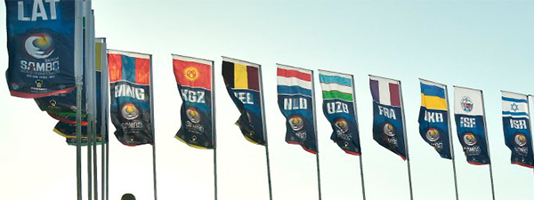 דגלי מדינות מעוצבים